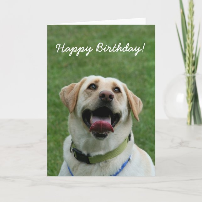 Happy Birthday Labrador Retriever greeting card (Front)