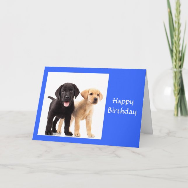 Happy Birthday Labrador  Retriever Puppies Card (Front)