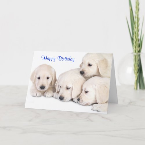 Happy Birthday Labrador Retriever Puppies Card