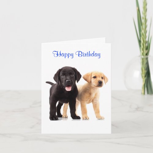 Happy Birthday Labrador Retriever Puppies Card