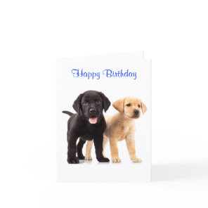 Happy Birthday Labrador Retriever Puppies Card