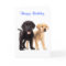 Happy Birthday Labrador Retriever Puppies Card