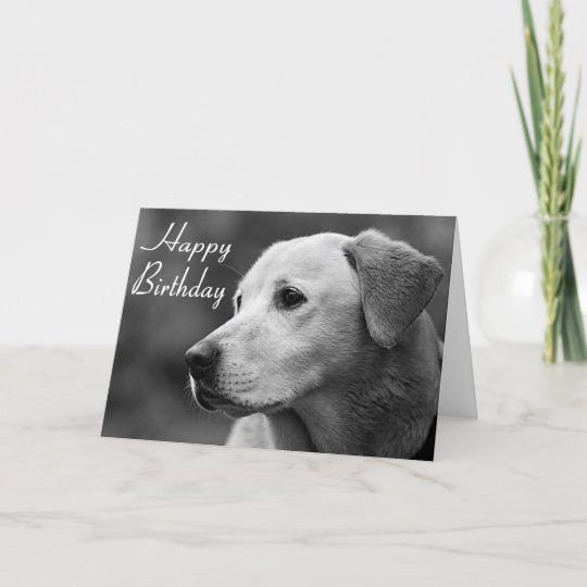 Happy Birthday Labrador Retriever Puppy Card | Zazzle.com