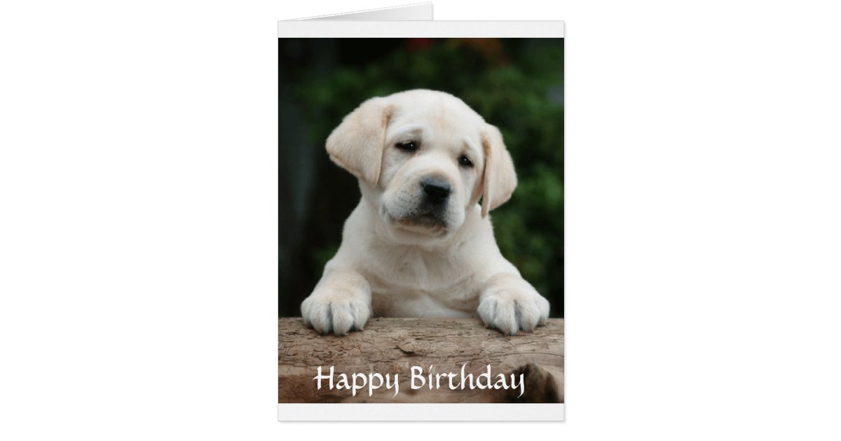 happy birthday labrador retriever puppy card zazzle craft birthday party invitations