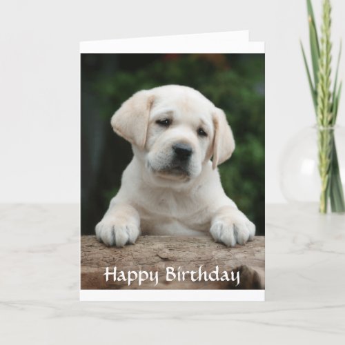 Happy Birthday Labrador Retriever Puppy Card