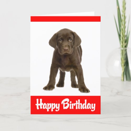 Happy Birthday Labrador  Retriever Puppy Dog Card
