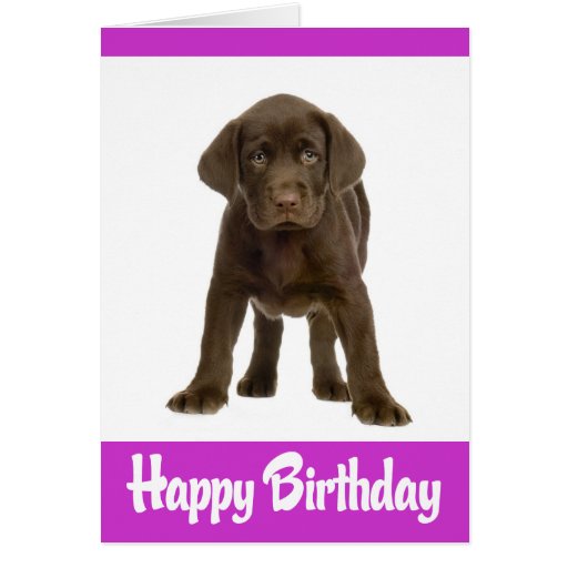 Happy Birthday Labrador Retriever Puppy Dog Card | Zazzle
