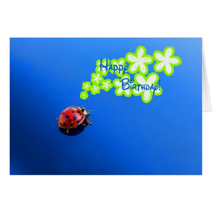 Happy Birthday Ladybug Card | Zazzle