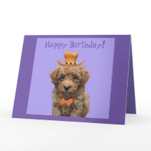 "Happy Birthday" large Personalize Dog Pet 