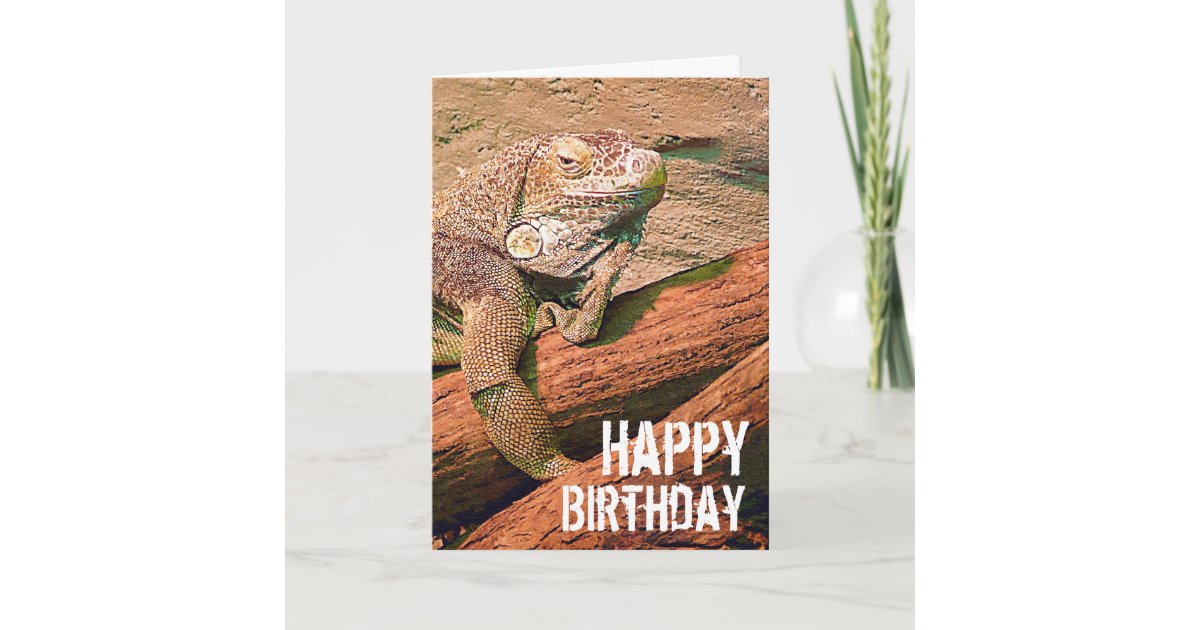 Happy Birthday — Lazy Lounge Lizard Chillaxing Card | Zazzle