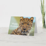Happy Birthday Leopard Greeting Card at Zazzle