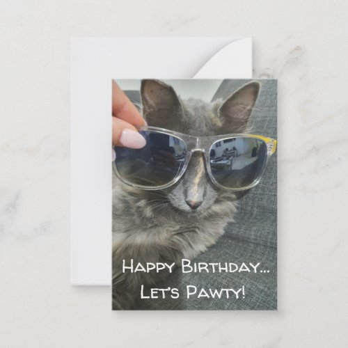 happy birthday lets pawty funny cat photo note card