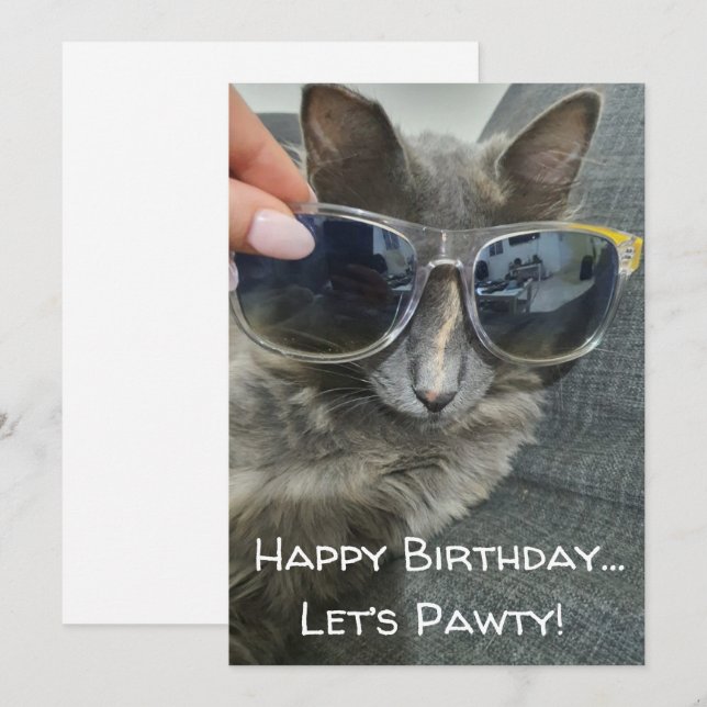 "happy birthday let's pawty" funny grey cat photo note card (Front/Back)