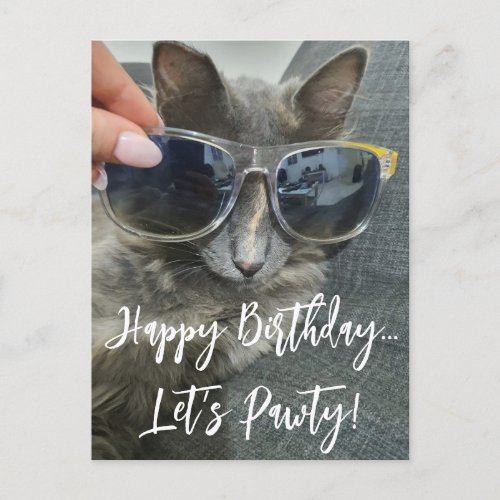 happy birthday lets pawty funny kitten photo  postcard
