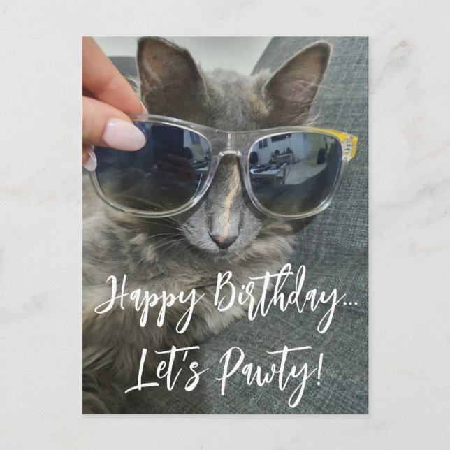 "happy birthday let's pawty" funny kitten photo  postcard (Front)