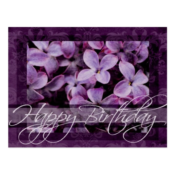 Happy Birthday Lilac Blossoms Post Cards
