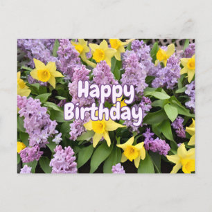 Happy Birthday Lilac Flowers and Yellow Daffodils  Postcard