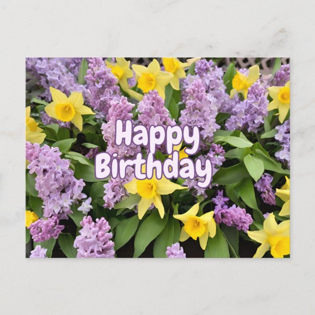 Happy Birthday Lilac Flowers and Yellow Daffodils  Postcard (Front)