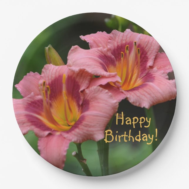 Happy Birthday Lily Paper Plates (Front)