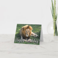 Happy Birthday! Lion's Roar Birthday Card