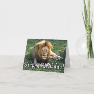 Happy Birthday! Lion's Roar Birthday Card