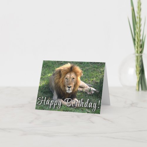 Happy Birthday Lions Roar Birthday Card