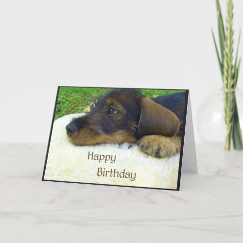 Happy Birthday listen to Dachshund puppy Card