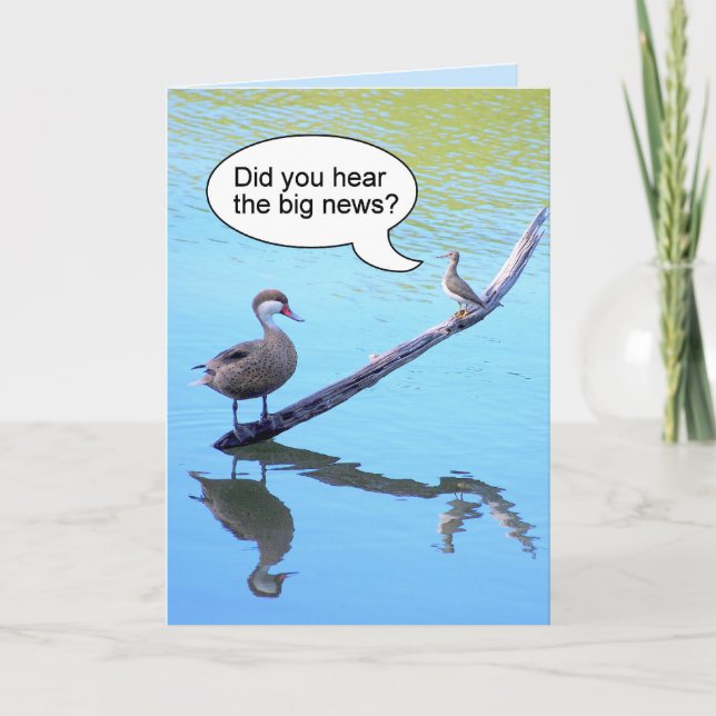 Happy Birthday Little Bird Humor Card (Front)