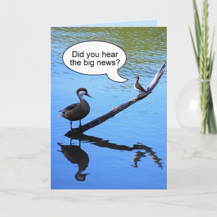 Humor Little Birdie Birthday Card