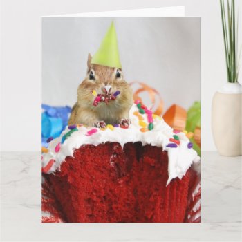 Happy Birthday Little Chipmunk Card by Meg_Stewart at Zazzle