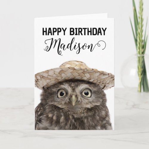 Happy Birthday  Little Owl Card