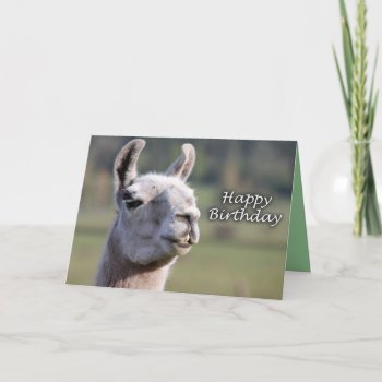 Happy Birthday Llama | Ms Llama Happy Birthday Card by boopboopadup at Zazzle