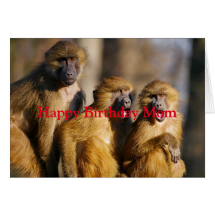 Happy Birthday Love From Your Monkeys Fun Animal Cards