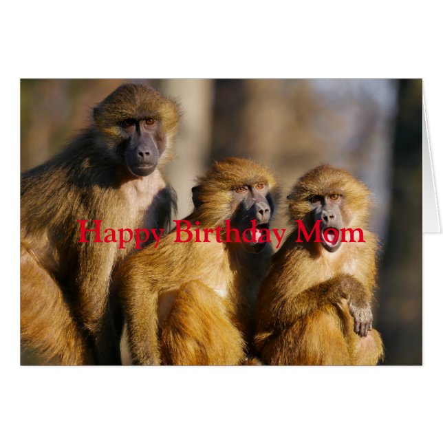 Happy Birthday Love From Your Monkeys Fun Animal Cards (Front Horizontal)