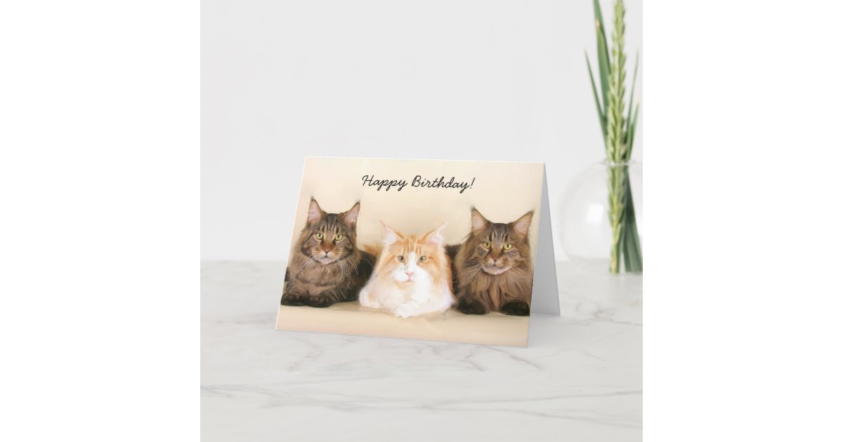 Happy Birthday Maine Coon Cats greeting card | Zazzle.com