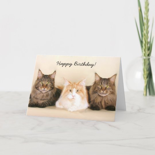 Happy Birthday Maine Coon Cats greeting card | Zazzle.com