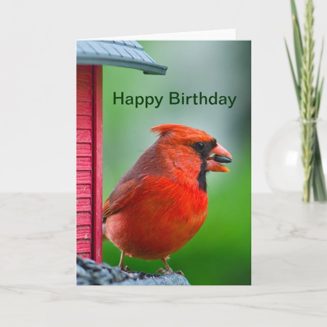 Happy Birthday - male cardinal Card (Front)