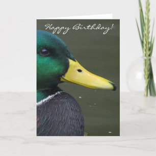 Happy Birthday Mallard Duck Card