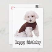 Happy Birthday Maltese Puppy Dog  Post Card (Front/Back)