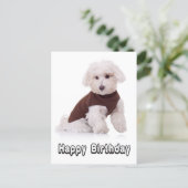 Happy Birthday Maltese Puppy Dog  Post Card (Standing Front)