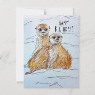 Happy Birthday Meerkat Wildlife Animals  Postcard
