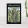 Happy Birthday Men Artsy Coconut Tree Tropical  Card