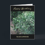 Happy Birthday Men Dad Nature Personalize   Card<br><div class="desc">Happy Birthday Men Dad Nature Personalize Greeting Card for that special man or Dad in your life. It has a touch of nature. Personalize it with your information. photo copyright Denise Bennerson,  photographer</div>