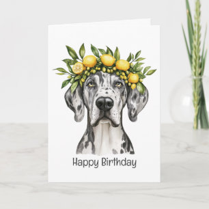 Happy Birthday Merle Great Dane Dog Lemon Crown Card