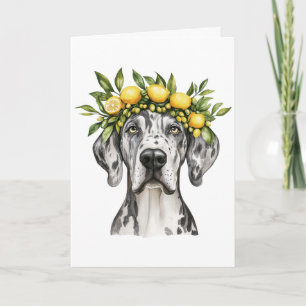 Happy Birthday Merle Great Dane Dog Lemon Crown Card