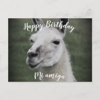 Happy Birthday "Mi Amiga" LLama postcard