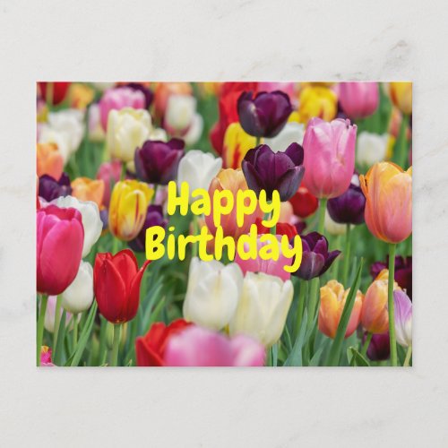 Happy Birthday Mixed Color Tulip Flowers  Postcard