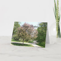 Happy Birthday Mom Apple Blossom Tree