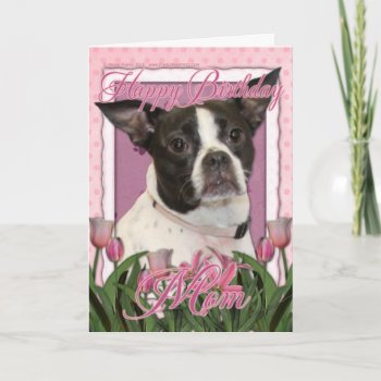 Happy Birthday Mom - Boston & Rat Terrier - Jazy Card by FrankzPawPrintz at Zazzle