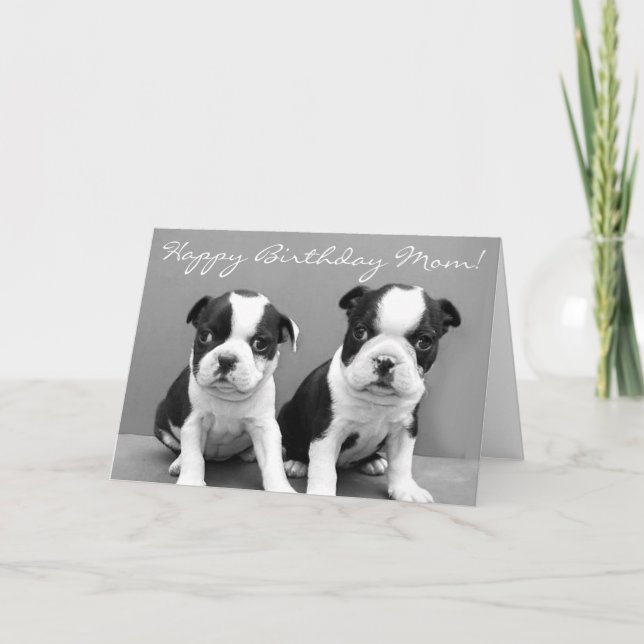 Happy Birthday Mom Boston Terrier Puppies card (Front)